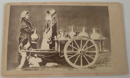 Dog cart cdv print - dog,