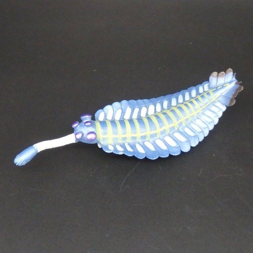Opabinia prehistoric life soft - prehistoric,