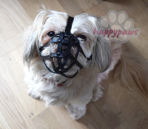 Leather dog muzzle - muzzle, |