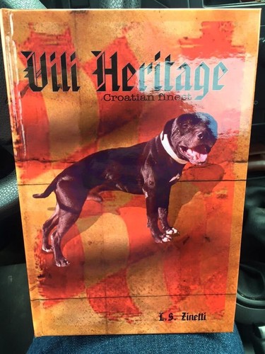 Vili heritage pit bull - -,