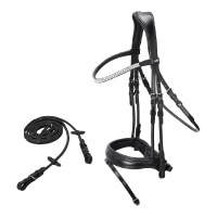 Schockemohle johnny dressage - johnny,