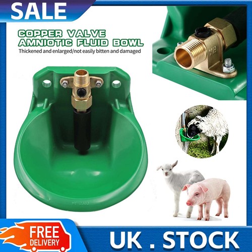 Farm water trough bowl - water,