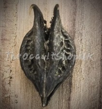 BLACK MAGICAL KALI DEVILS CLAW