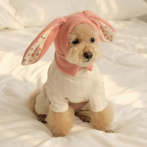 Rabbit quiet ears - quiet, dogs