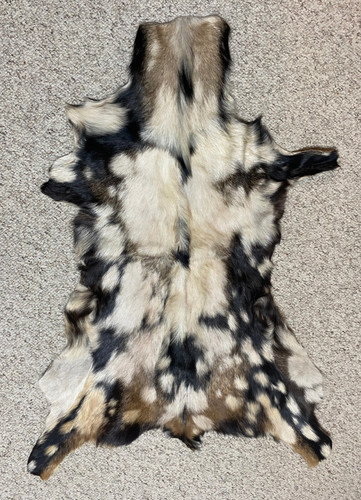 Goat skin hide - goat, natural