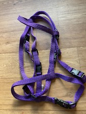 Libbys Purple Black Synthetic Soft Webbing Bridle Clips Shetland Mini Miniature