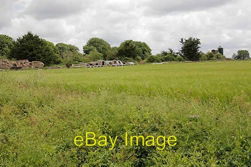 Photo 6x4 pig rearing - photo,