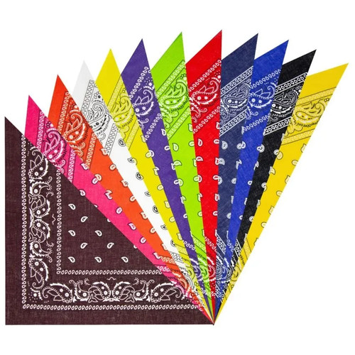 Multi color paisley pack - paisley,
