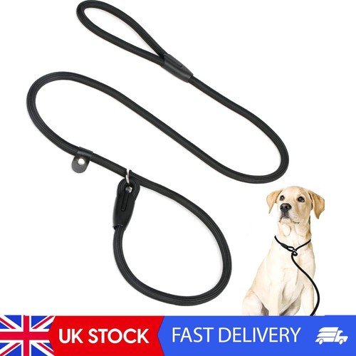 Dog slip lead durable strong - slip,