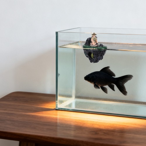 Fish tank floating island - tank, with