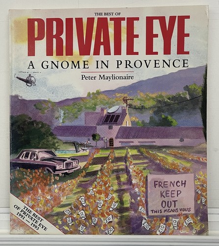 Private eye gnome in - a,