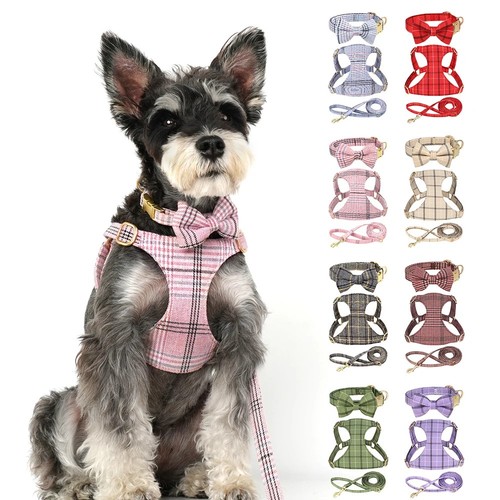 Cute plaid bowtie small dog - plaid,