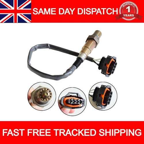 Post cat oxygen lambda - cat,