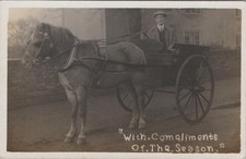 Horse Transport Postcard -