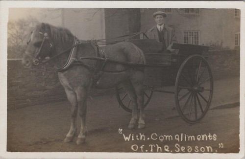 Horse transport postcard - transport,