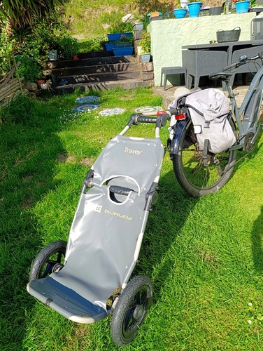 Burley travoy bike trailer - burley,