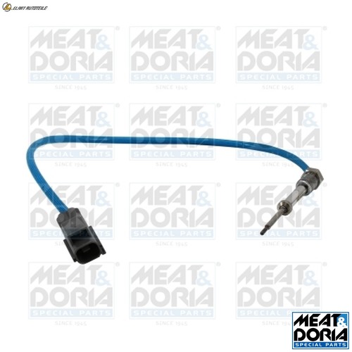 Exhaust gas temperature sensor - gas,