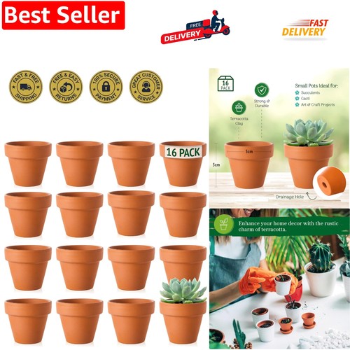 Terracotta plant pots - -, x