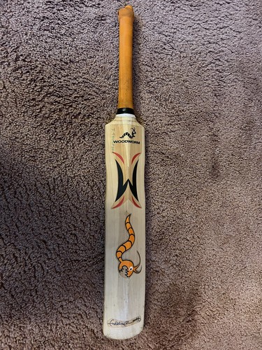 Woodworm pioneer the flame - woodworm,