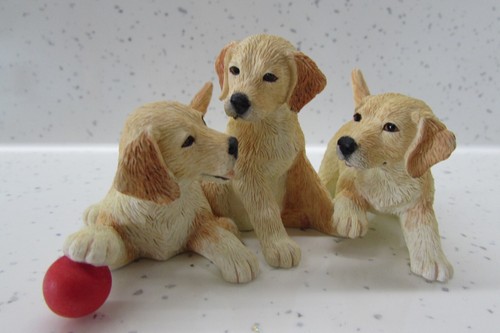 Border fine arts dog golden - fine,