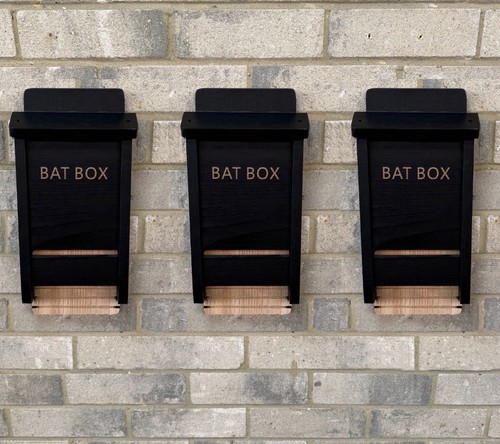Black wooden bat house - house, box