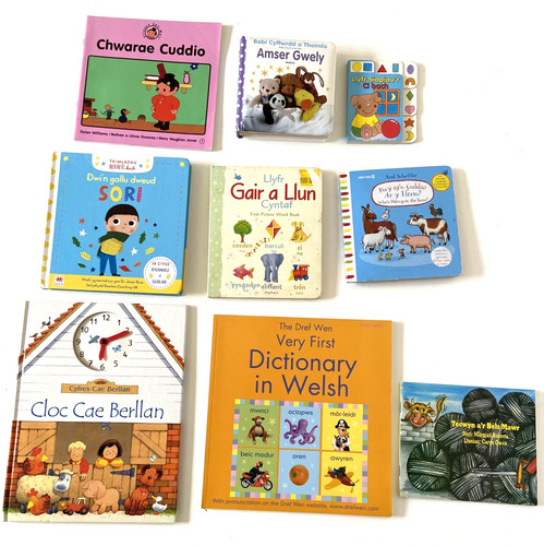 Welsh language books primary - 9,