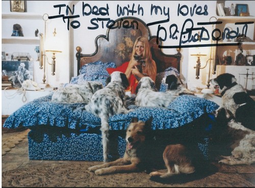 Brigitte bardot dog - brigitte, lover