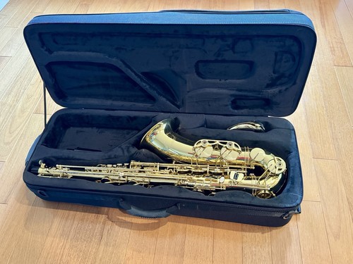 Selmer model sts711 - selmer,