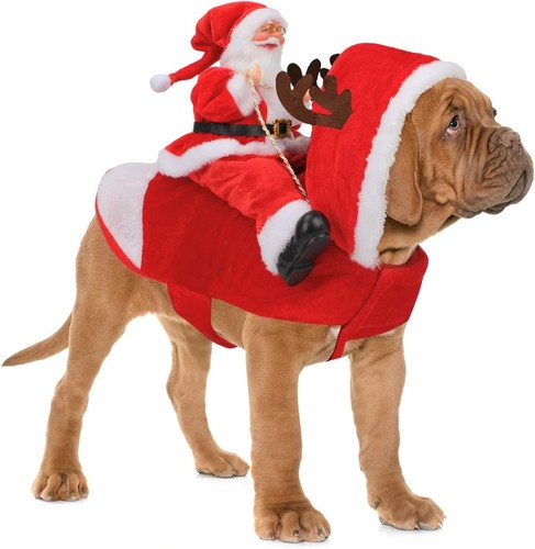 Santa dog costume christmas - santa,