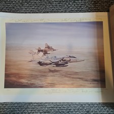 Desert Cats Michael Rondot