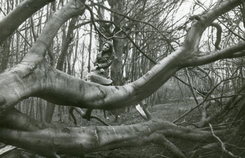 Beautiful woman tree odd - beautiful,