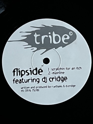 Flipside feat cridge - flipside,