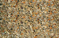 15KG BUDGIE TONIC SEED Food