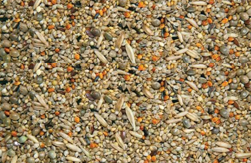 15kg budgie tonic seed food - seed,