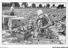 AHWP11-0746 - TRADES - the