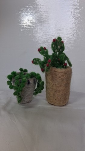 Hand made felted house plants - felted,