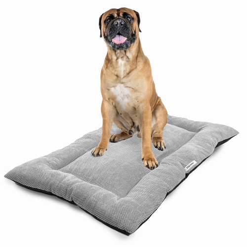 Grey faux fur dog puppy - faux,