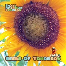 50  Mammoth Russian Sunflower