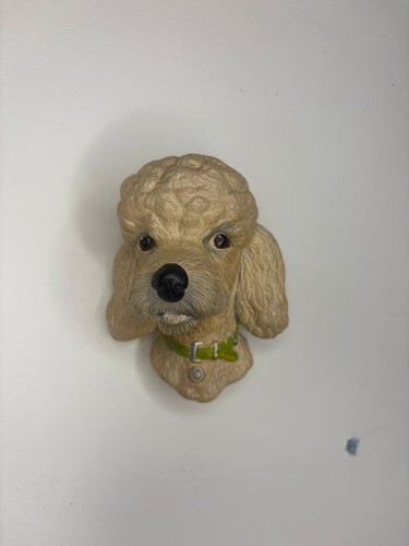 White poodle unmarked - white, poodle.