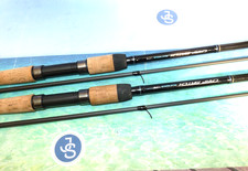 2 x Diawa 11' 2pc carbon  Carp