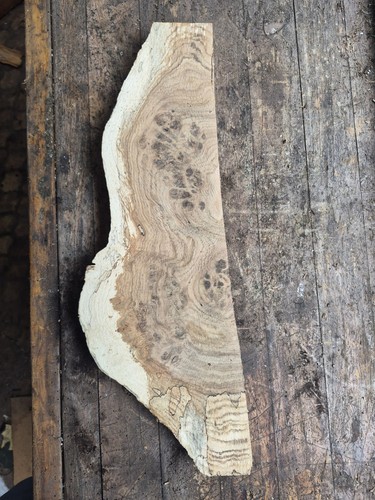 Pcs english oak burr boards - oak,