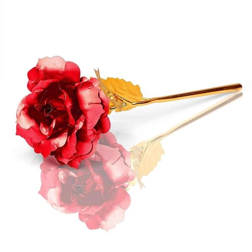 Rel rose flowers gifts - rose,