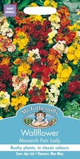 Mr Fothergills - Flower -