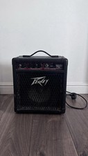 Benson Guitar and Pevey mini