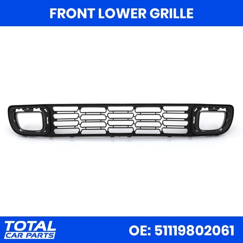 Lower radiator grille - grille, oe