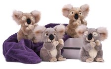 PLUSH NEW KOALA BEAR KEITH