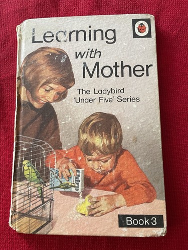 Learning with mother - learning, ladybird