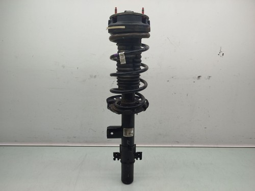 Right rear shock - right,