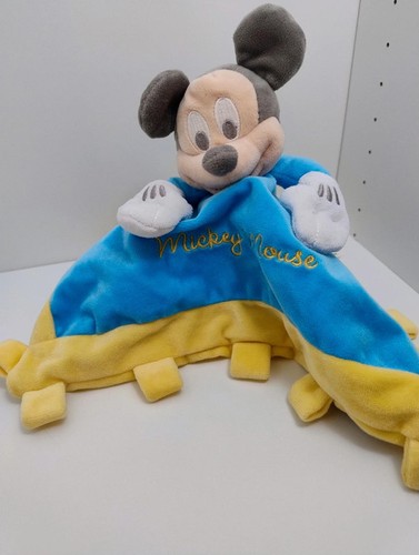 Disney parks mickey - disney,