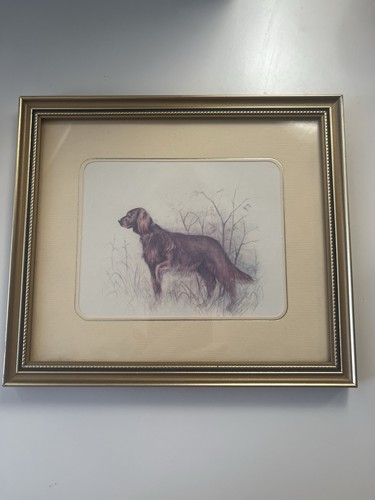 Vintage irish setter dog print - setter,